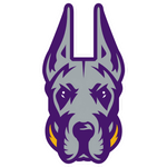 Albany Great Danes