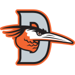 Delmarva Shorebirds