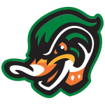 Down East Wood Ducks