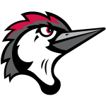 Fayetteville Woodpeckers