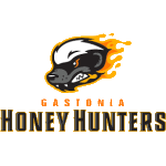 Gastonia Honey Hunters