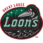 Great Lakes Loons