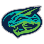 Lynchburg Hillcats
