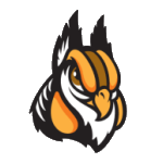 Schaumburg Boomers